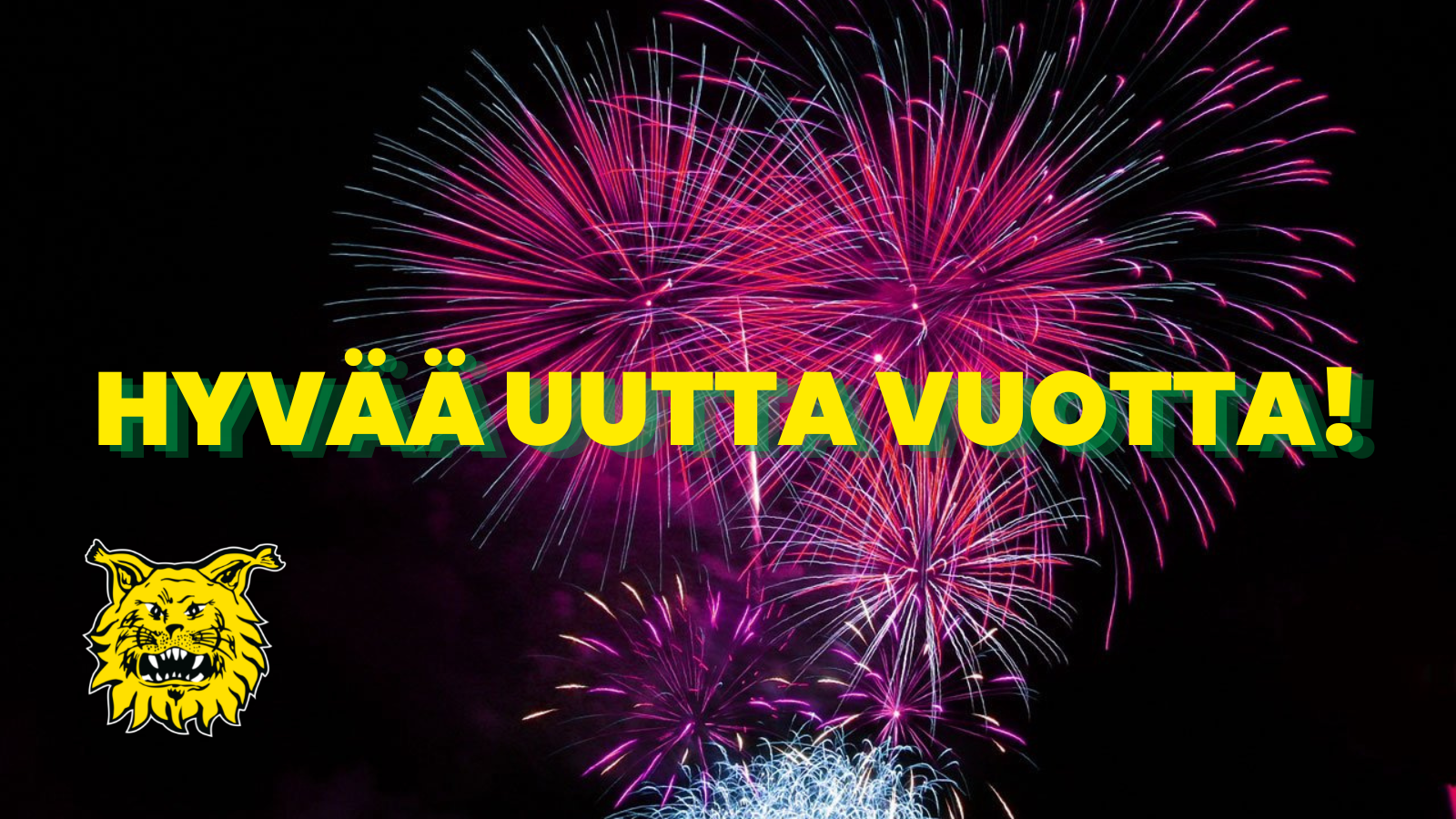 HYVAA UUTTA VUOTTA 2 HYVAA UUTTA VUOTTA 2