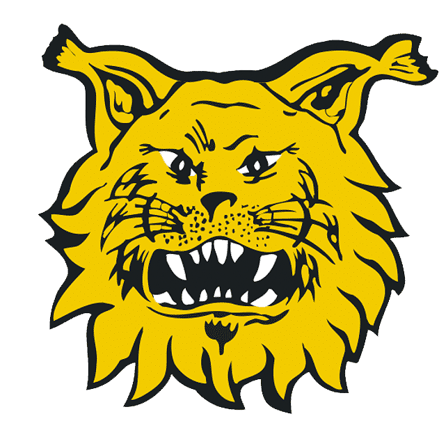 Ilves Futisliiga